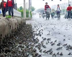 Jiangsu Province, China