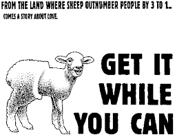 The Sheep Home Page