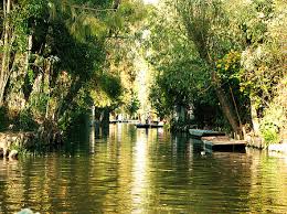 Xochimilco, Trajineras.