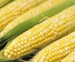 Photo of Corn