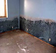 Toxic Mold, Sick Building,