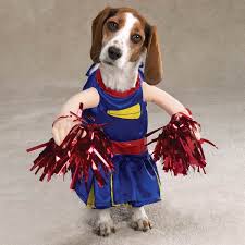 dog Halloween costumes and