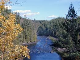 Kennebec (photo by Russ