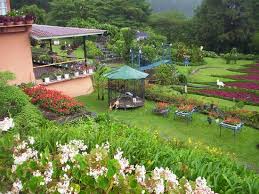 Photos of Mi Jardin es tu