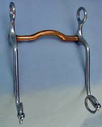 Overstocked Walking Horse Bit