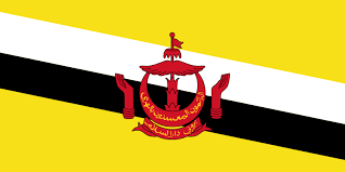 Working in Brunei