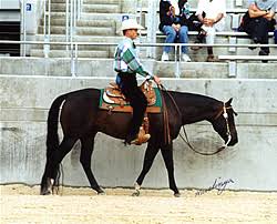 A good Western Pleasure horse ...