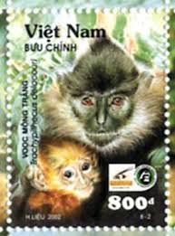 (Trachypithecus delacouri)