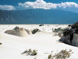Coahuila &middot; Coahuila