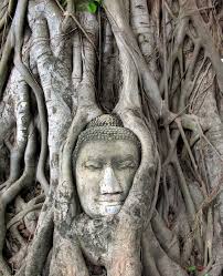 Camboya