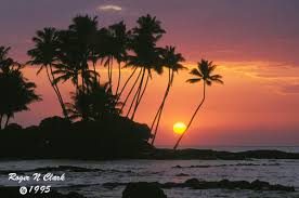 image c101195_01_14-Hawaii-