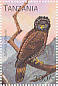 Eagle Spilornis rufipectus