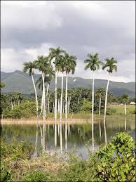 San Diego de Los Banos