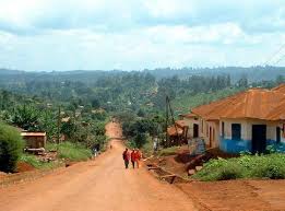 Cameroon - Farmland in West-