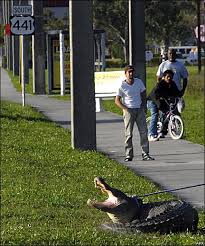 Rush hour in North Lauderdale,
