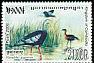 Ibis Pseudibis gigantea