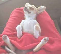 Relax, take your time