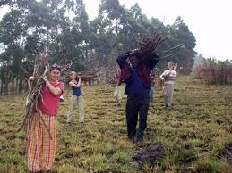 CAMEROON - Expose yourself to