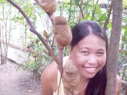 in the family Tarsiidae,