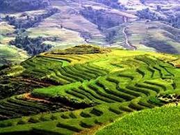 Puy-Fay presents Vietnam