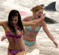 Spring Break Shark Attack!