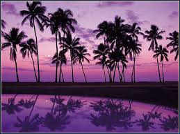 dibs maui