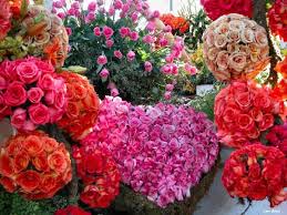 mensagens de Flores!