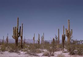 Arizona Webring