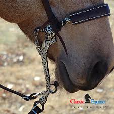 Hackamore 