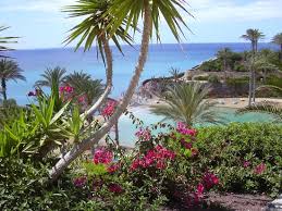 Vue du jardin