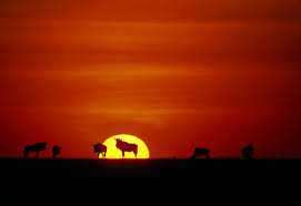 Photo: Tanzania