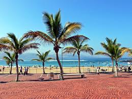 las palmas gran canaria ocean