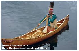 Help Restore the Penobscot