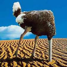 http://search.aol.com/aol/imageDetails?s_it=imageDetails&q=ostrich+head+in+sand&img=http://www.life123blog.com/images/ostrich-head-in-sand.jpg&site=&host=http://www.life123blog.com/2008-127/money/knowledge-is-power&width=110&height=110&thumbUrl=http://images-partners-tbn.google.com/images?q=tbn:wa9JGeqbh8Hk7M:www.life123blog.com/images/ostrich-head-in-sand.jpg&b=image?q=ostrich+head+in+sand&page=1&flv=1&s_it=rboxImgDtls&oreq=8198e421119691c2&icid=snap-pic&imgHeight=240&imgWidth=240&imgTitle=I+know+...&imgSize=18955&hostName=www.life123blog.com