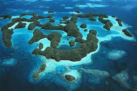 in Micronesia,