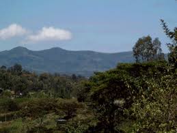 House Karen - view from the
