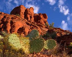 Arizona voiceover Arizona