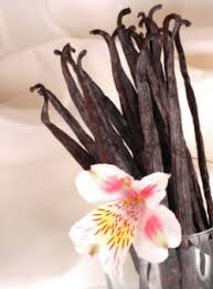 Picture of Vanilla Beans