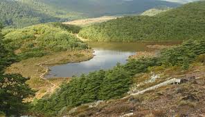 Visit the New Zealand National