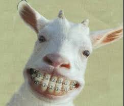 Poor Goat. at 7:50 AM