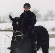 percheron_riding_.jpg percheron_riding_.jpg