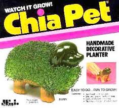 Chia Pet growing instructions
