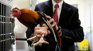 Law Extends Its Reach in Bid Law Extends Its Reach in Bid