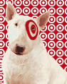 BRAND OF THE WEEK: Target BRAND OF THE WEEK: Target