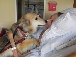 A Terminal Cancer Patient's A Terminal Cancer Patient's