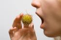 allergie
