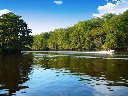 Caddo Lake, Texas