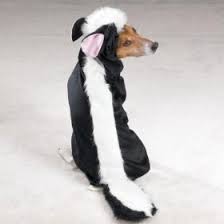 DOG HALLOWEEN COSTUMES MAKE
