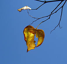 How Can You Mend A Broken Heart? by ...
