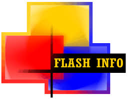 logo_flash_info.gif